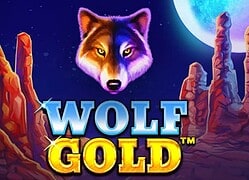 Wolf G Lucky Block Casino Game  Lucky Block Casino Online