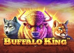 Buffalo King Lucky Block Casino Slot  Lucky Block Casino Online
