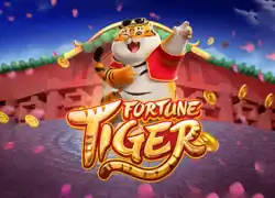 Fortune Tiger Lucky Block Casino Slot  Lucky Block Casino Online