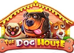 Dog House Lucky Block Casino Game  Lucky Block Casino Online